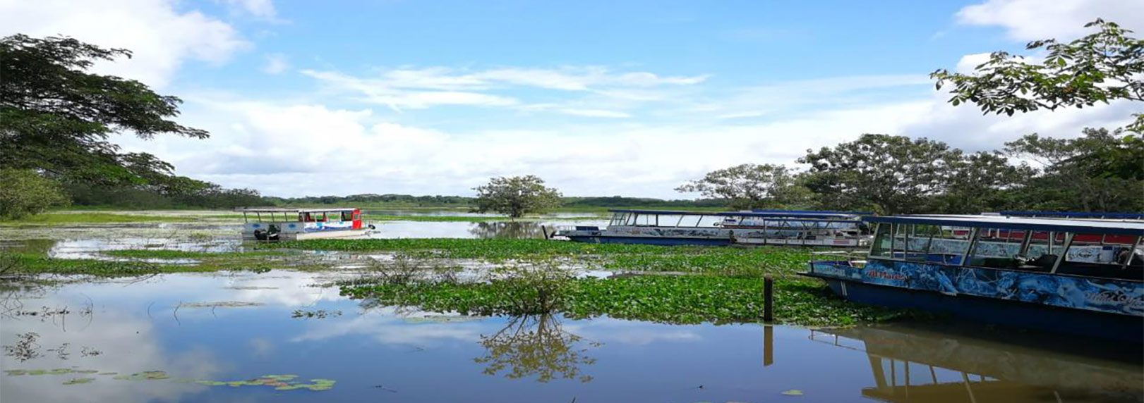 Refugio